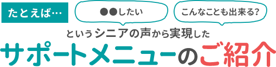 たとえば…「〇〇したい」 「こんなことも出来る？」 という シニアの声から実現した サポートメニューのご紹介